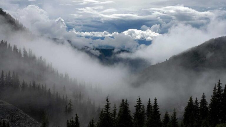 How To Access The 99Exch Red M Login Portal Via Https?